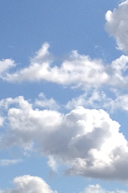 Photos of today, Blog 6. 