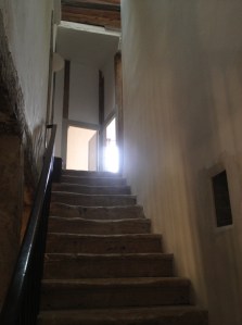 photo-11