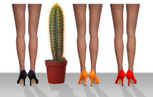 cactus legs
